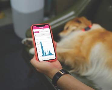 Canine Activity Trackers You’ll Want to Try