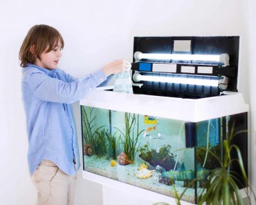 Distilled Water For Aquarium: Is It Good For Your Fish Tank?