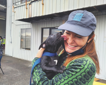 This Historic Pet Rescue Flight Brought Nearly 600 Animals to Seattle