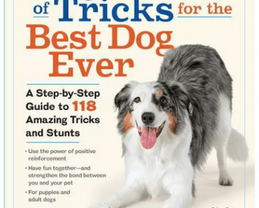 Which Dog Tricks Are Most Popular?