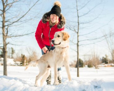 Why it’s important to maintain your dog’s walking routine during the holidays