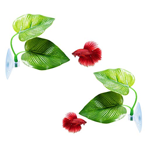 CousDUoBe 2 Pack Betta Fish Leaf Pad Improves Betta's Health by Simulating The Natural Habitat -...