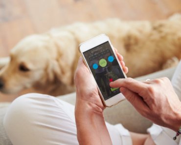Health and nutrition apps for your dog or cat