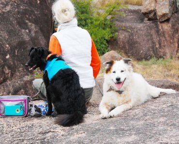 Win a Yucky Puppy® Dog Walking Bag + Poop Bag Carriers #WalkYourDogMonth