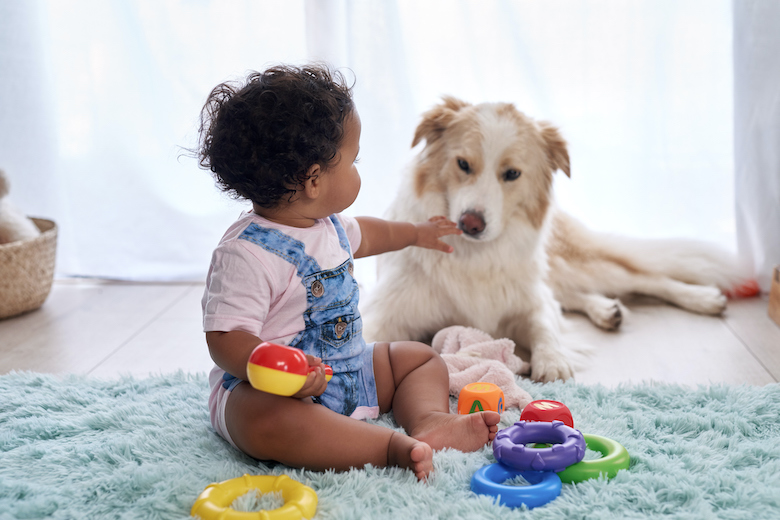 dogs and toddlers