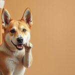 dog lifting paw