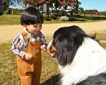 Family Tips: How To Help Dogs & Toddlers Co-Exist Peacefully
