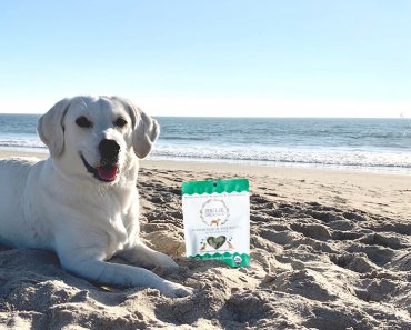 Joulie Organics: plant-based dog treats with a cause