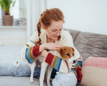 A home health check for your dog or cat