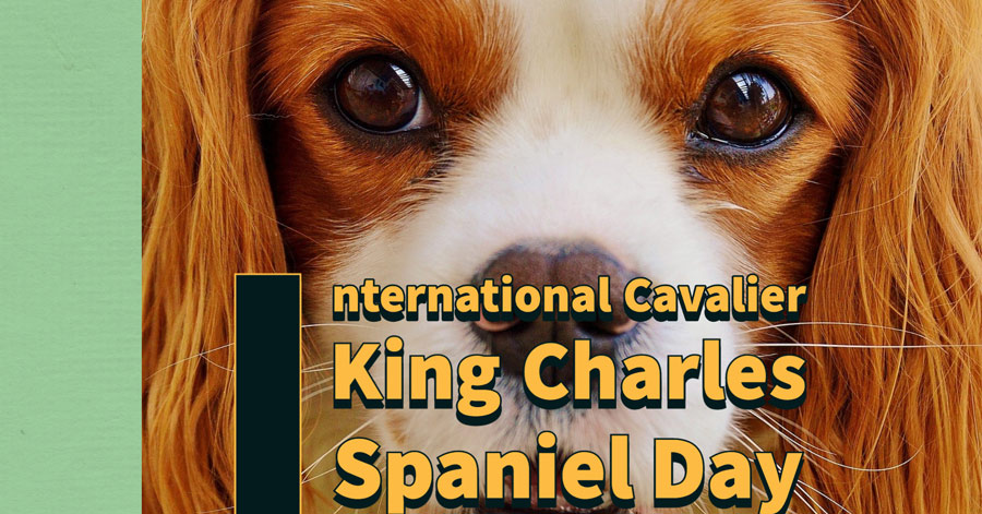 International Cavalier King Charles Spaniel Day