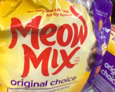 Meow Mix recalls dry food due to possible salmonella contamination