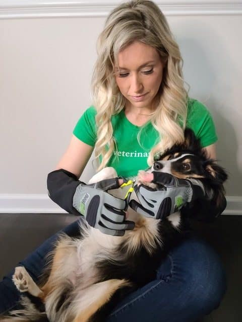 ArmOR gloves for handling dogs, designed by a veterinarian