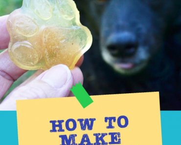 How to Make Gummies for Dogs