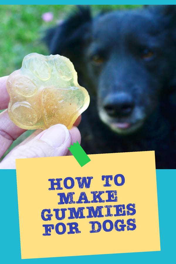 how to make gummies for dogs