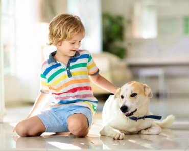 My dog doesn’t like kids – what should I do?