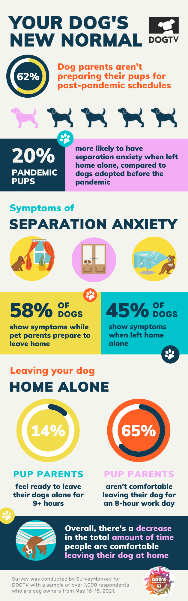 Worried About Separation Anxiety When You Return to Work