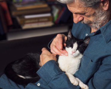 10 ways to senior pet proof your home