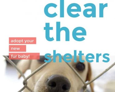 Mark Your Calendar for Clear the Shelters Adoption Drive !