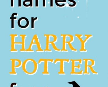 120+ Harry Potter Dog Names & Their Meanings
