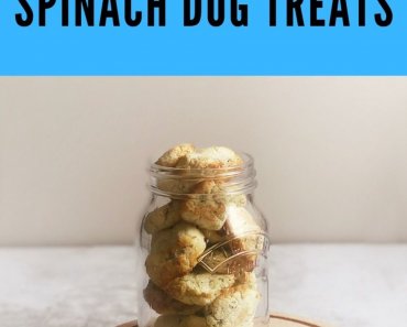 Homemade Spinach and Bacon Dog Treats