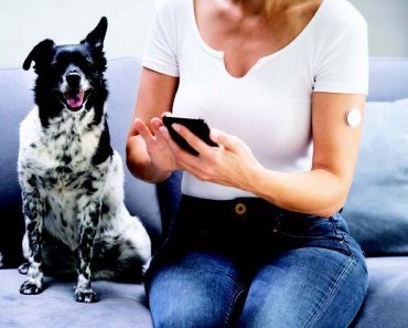 Human-Dog Diabetes Connection