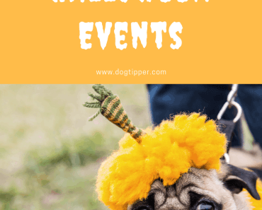 2021 Dog-Friendly Halloween Events: Halloween Dog Parades and More!
