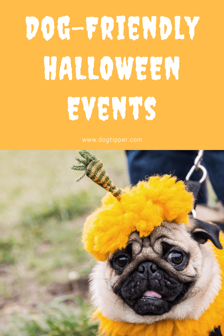 dog friendly halloween events