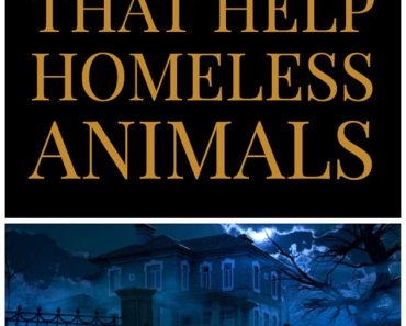 2021 Halloween Haunted Houses that Help Homeless Animals