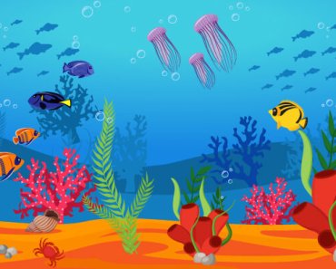 Fish & Facts: All About The Ocean