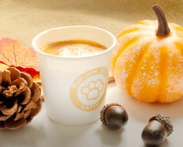 Pumpkin Latte for Dogs – Recipe