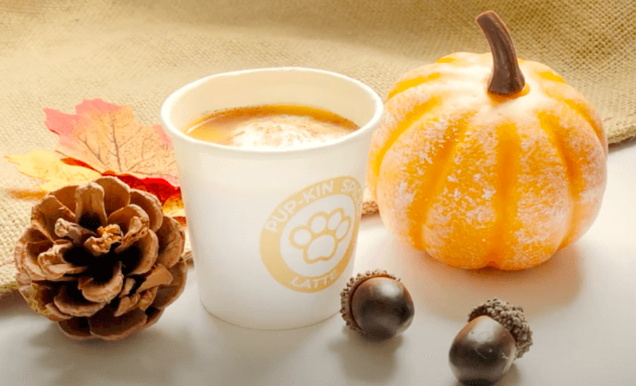 Pumpkin Latte for Dogs - Recipe