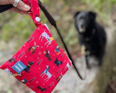 Win our new Yuletide YUCKY PUPPY bags!