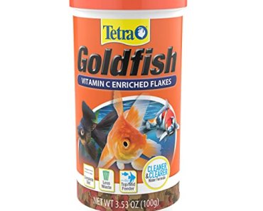The 7 Best Goldfish Food Brands For A Longer Lifespan