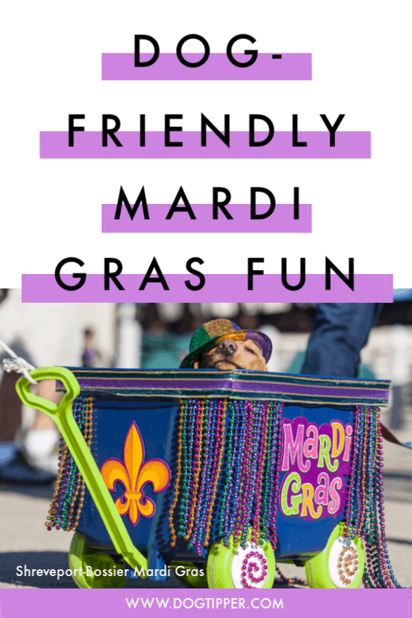 Dog Friendly Mardi Gras Parades