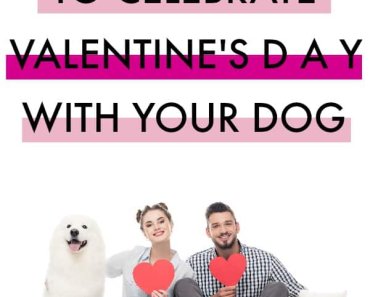 6 Ways to Celebrate Valentine’s Day with Your Dog