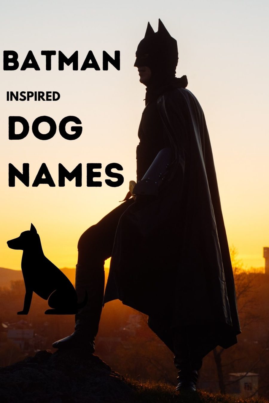 Batman Dog Names