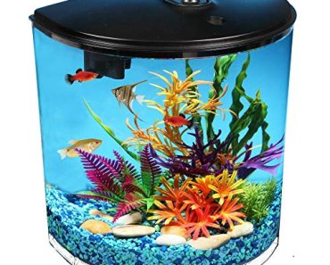 3.5-Gallon Fish Tank: Our Top 3 Choices on a Budget