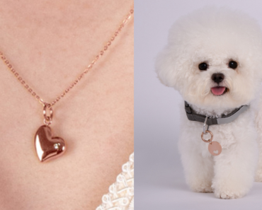 A Rose Gold Best Friend Set Is a Must for Moms and Pampered Pups
