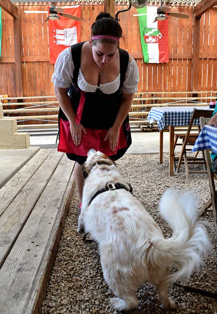 dog-friendly fall day trips-tiki-auslander-waitress