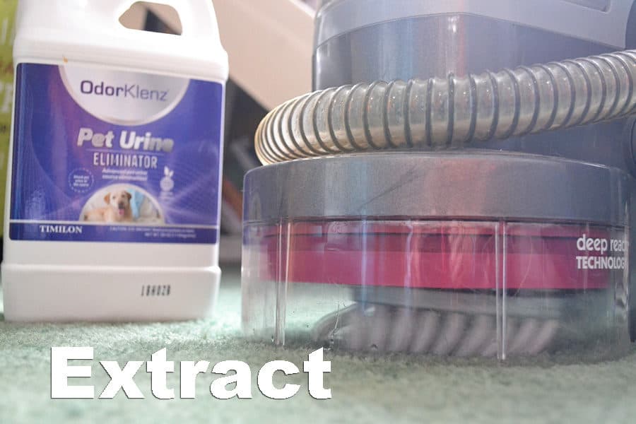 using a pet odor eliminator with an extractor