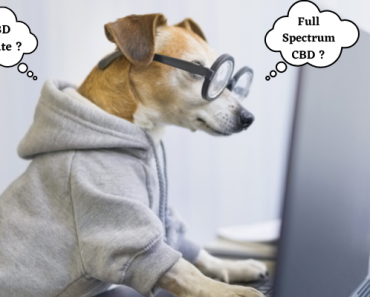 How to Choose and Understand the Difference Between “Full Spectrum” CBD Oil, “Broad Spectrum” CBD Oil and CBD “Isolate” for Pets