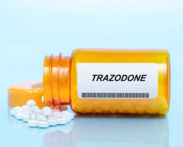 What You Should Know About Trazodone for Dogs