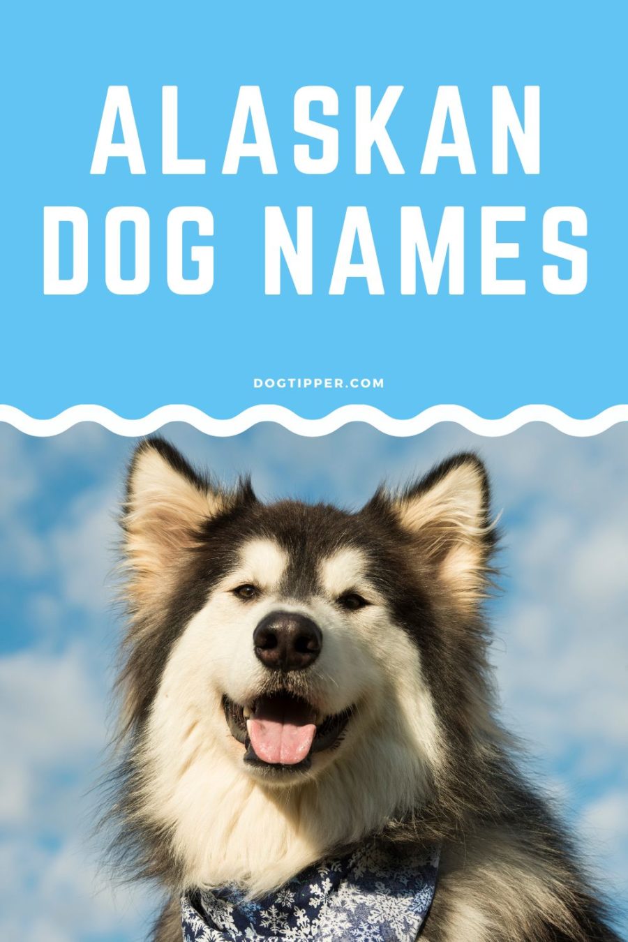Alaskan Dog Names