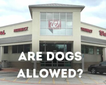 Are Dogs Allowed in Walgreens?