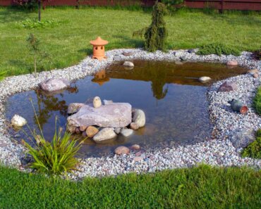 Everything You Need To Know About Pond Liners