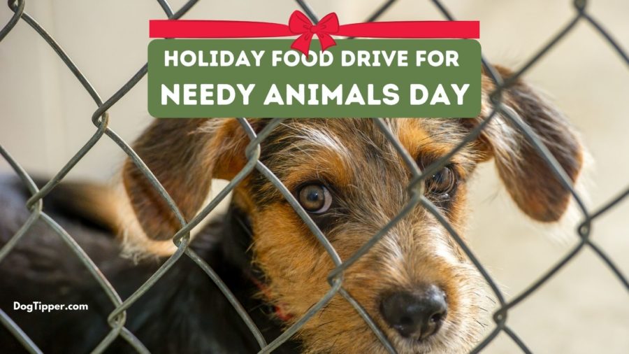 How to help with your own pet food drive on Holiday Food Drive for Needy Animals Day