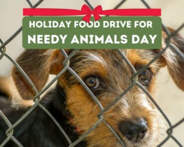 Holiday Food Drive for Needy Animals Day