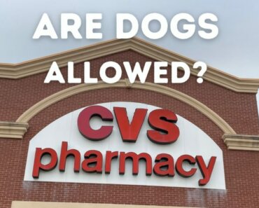 Are Dogs Allowed in CVS?