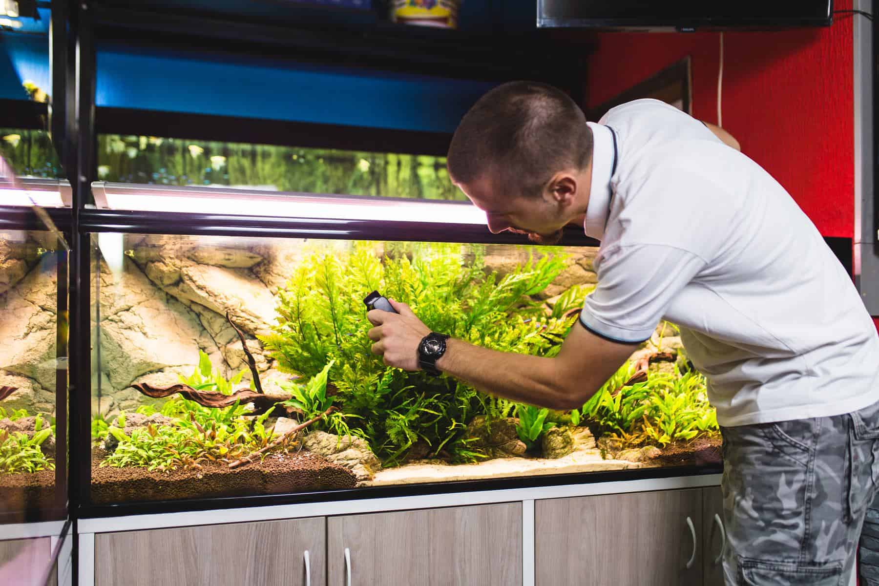 How To Clean A Fish Tank