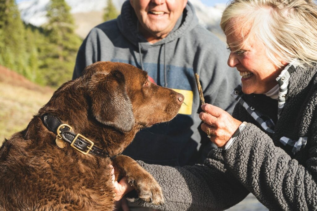 chocolate lab with two pet parents in an outdoor hiking setting